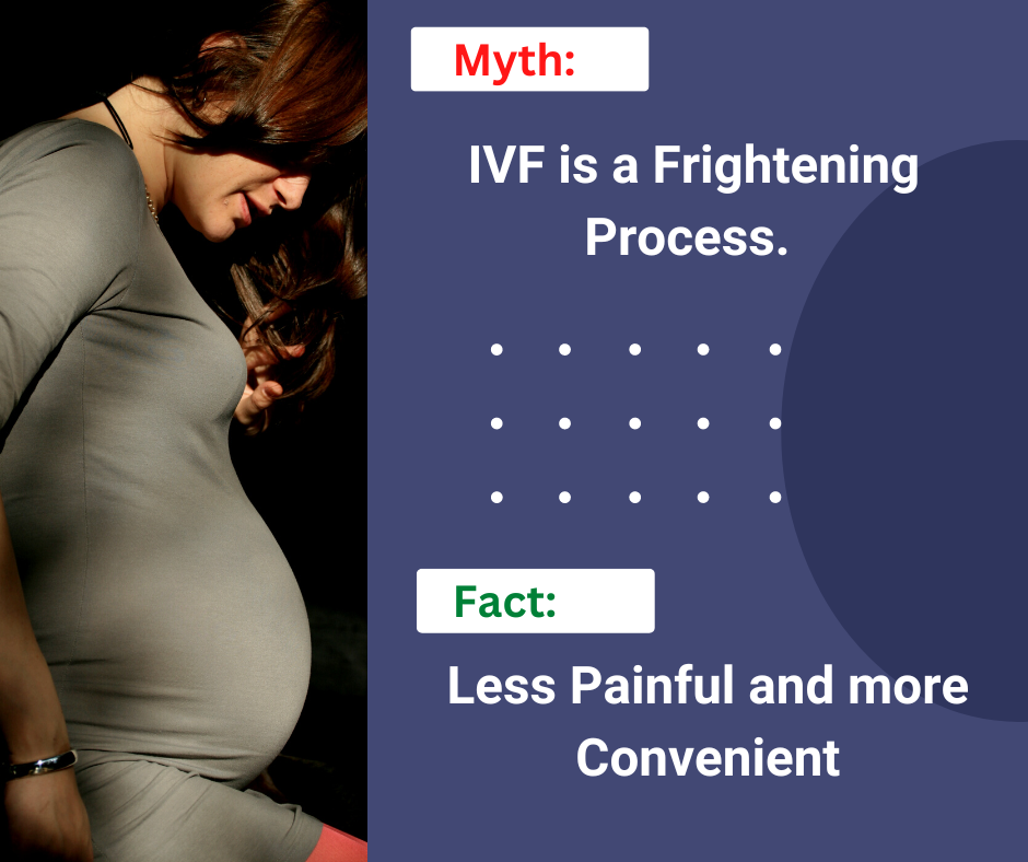 Myths and facts about IVF pregnancy Sarita Vihar, New Delhi 
