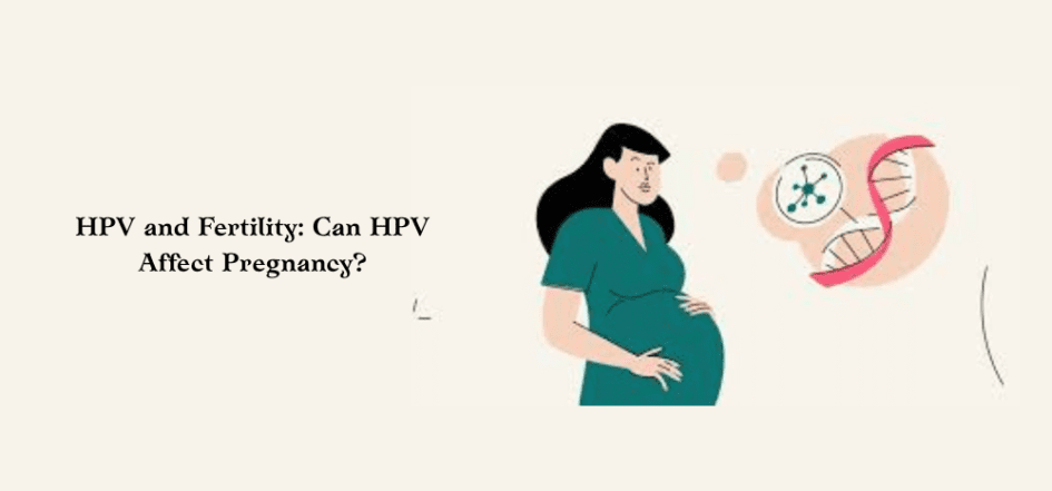 HPV and Fertility Can HPV Affect Pregnancy
