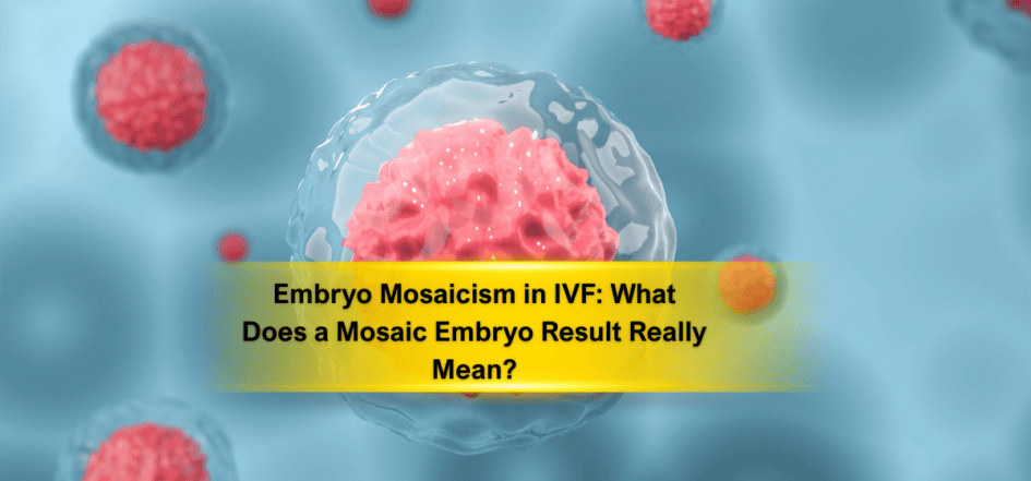 Embryo Mosaicism in IVF What Does a Mosaic Embryo Result Really Mean
