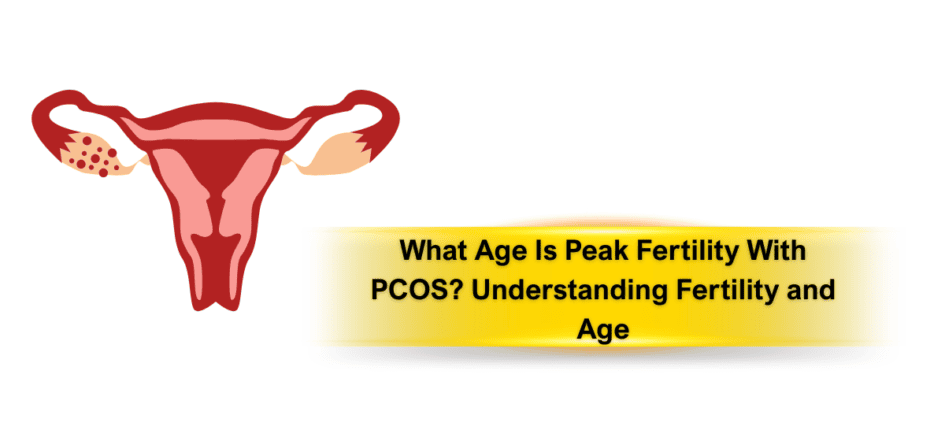 Stage 1 to 4 Liver Cancer What Age Is Peak Fertility With PCOS Understanding Fertility and Age& Survival